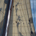 Photo of Sea|mester: S/Y Ocean Star - Caribbean Basin Voyages