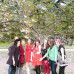 Photo of Study Abroad Programs in England