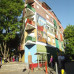 Photo of Connect-123: Buenos Aires - Volunteer/Intern in Argentina