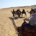 Photo of AMIDEAST: Cairo - Area & Arabic Language Studies in Egypt