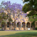 Photo of The University of Queensland: Brisbane - Direct Enrollment & Exchange