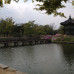 Photo of Study Abroad Programs in South Korea