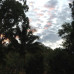 Photo of ISA Study Abroad in Townsville, Australia