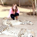Photo of CISabroad (Center for International Studies): Stellenbosch - Summer in South Africa