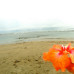 Photo of University of Northern Iowa: Traveling - UNI Capstone in Costa Rica