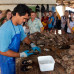 Photo of Sea Education Association: Sustainability in Pacific Island Communities and Ecosystems