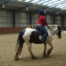 Photo of Adelante: Edinburgh - Equine Summer Program in Scotland