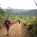 Photo of Wildlands Studies: Costa Rica & Panama Project: Ecosystems And Conservation