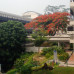 Photo of National University of Singapore: Singapore - Direct Enrollment & Exchange