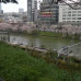 Photo of Hosei University: Tokyo - Direct Enrollment & Exchange