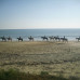 Photo of Spanish Studies Abroad: Seville - Semester, Year or Summer in Seville