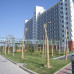 Photo of Syracuse University: Beijing – Syracuse University in Beijing