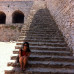 Photo of UC San Diego Global Seminars: Athens - Drugs, Behavior, and the History of Neuroscience in Greece