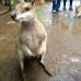 Photo of The University of New South Wales: Sydney - Direct Enrollment & Exchange
