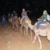 Photo of The Morocco Program: Full Immersion and Cultural Adventure Summer Program