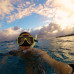 Photo of University of Georgia, Discover Abroad: Australia and New Zealand Maymester Program