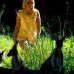 Photo of University of Georgia, Discover Abroad: Australia - Winter Program