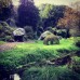 Photo of ISA Study Abroad in Dublin, Ireland