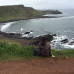 Photo of CCSA (Cooperative Center for Study Abroad): Across Ireland Early Summer Program