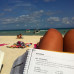 Photo of Agora Language Center: Playa del Carmen - Intensive Spanish Language Courses