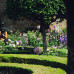 Photo of Oxbridge Academic Programs: Oxford - The Oxford Seminar