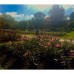 Photo of Regent’s University London: Direct Enrollment & Exchange