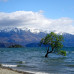 Photo of The Education Abroad Network (TEAN): Dunedin - University of Otago