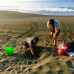 Photo of Round River Conservation Studies: Costa Rica – The Osa Peninsula