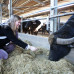 Photo of Umbra Institute: Perugia - The Food and Sustainability Studies Program