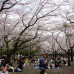 Photo of Sophia University: Tokyo - Direct Enrollment & Exchange