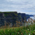 Photo of Stephen F. Austin State University (SFA): Traveling - SFA Theatre in Ireland