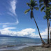 Photo of Round River Conservation Studies: Costa Rica – The Osa Peninsula