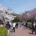 Photo of Tohoku University: Sendai - Direct Enrollment & Exchange