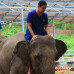 Photo of The Experiment:  Thailand - Buddhist Traditions and Contemporary Culture
