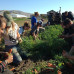Photo of Swan Valley Connections: Landscape and Livelihood