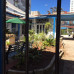 Photo of ThisWorldMusic: Music and Dance Programs in Cuba