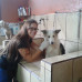 Photo of Intern Abroad HQ: Internships in Costa Rica