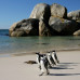 Photo of Student-Athletes Abroad: Cape Town Programs for Student Athletes