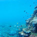 Photo of ISA Study Abroad in Townsville, Australia
