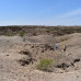 Photo of Koobi Fora Field School: Nairobi - Study of Human Paleobiology in East Africa