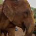 Photo of The Education Abroad Network (TEAN): Thailand - Semester in Chiang Mai