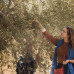 Photo of The Qasid Institute: Amman - Direct Enrollment & Exchange