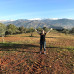 Photo of IES Abroad: Granada - Liberal Arts & Language