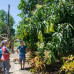 Photo of World Endeavors: Volunteer in the Philippines