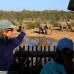 Photo of ProjectsAbroad: South Africa - Volunteer and Community Service Programs in South Africa   