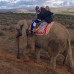 Photo of Study Abroad Programs in South Africa