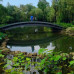 Photo of Marco Polo: Culture Exchange Program
