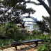 Photo of Beyond Academy: Internships in Sydney