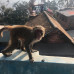 Photo of The GREEN Program: Nepal - Microgrid Systems for Rural Development