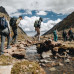 Photo of Pacific Discovery: South America Semester Program